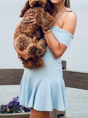 Retrofete One-Shoulder Ribbed Flare Dress in Light Blue